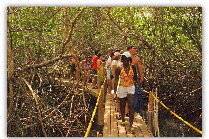 full-day-socoho-historic-sites-mangrove-kayak-reef-snorkeling