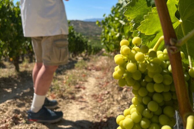 full-day-tasting-the-unknown-rioja-wine-region