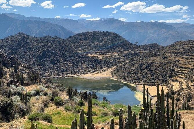 full-day-tour-to-the-colca-canyon