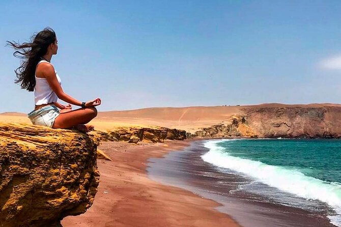 full-day-tour-to-visit-ballestas-islands-and-paracas-reserve