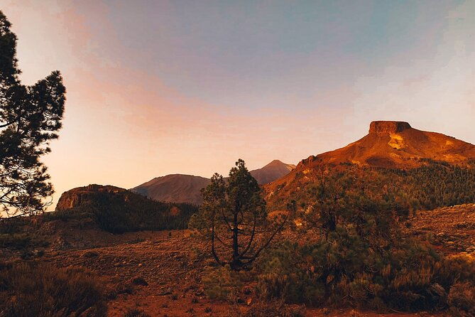 full-day-tour-with-certified-guide-in-tenerife