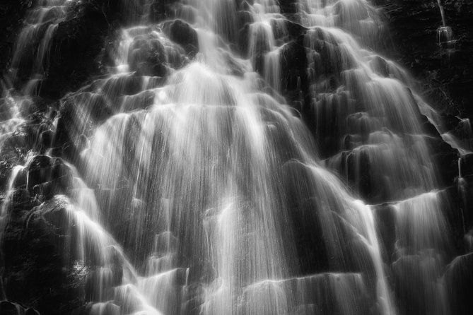 full-day-tour-with-instruction-in-vistas-waterfall-photography