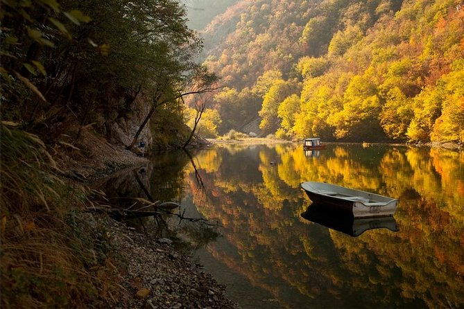 full-day-trip-from-belgrade-the-drina-river-house-and-tara-park-tour
