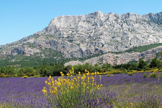 full-day-wine-and-cheese-tour-around-aix-en-provence-from-marseille