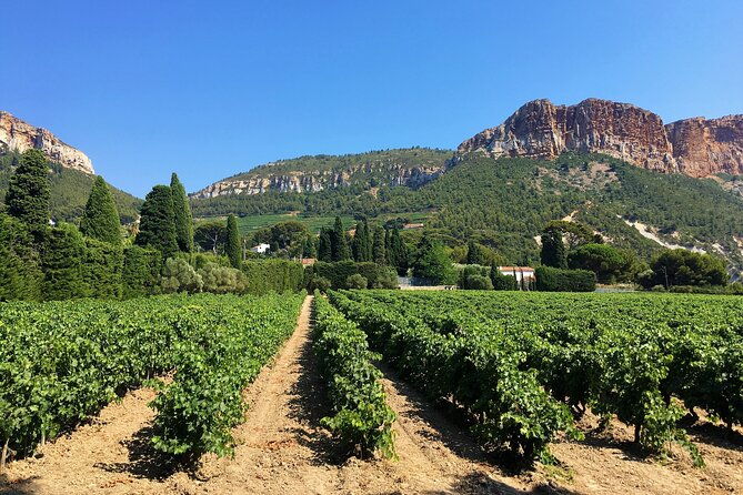 full-day-wine-tour-around-bandol-cassis-from-marseille