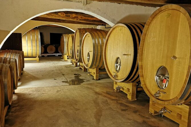 full-day-wine-tour-of-the-cassis-vineyards