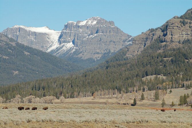 full-day-yellowstone-upper-northern-loop-tour