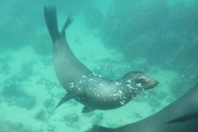 galapagos-enchanting-3-islands-5-days
