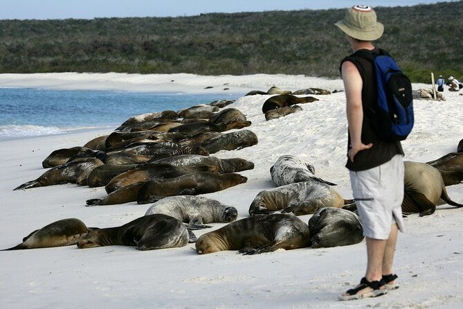 galapagos-intensive-5-days-land-base-3islands-excludes-galapagos-flight