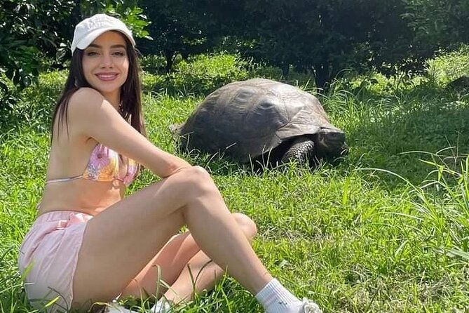 giant-turtle-watching-and-lava-tunnels-tour