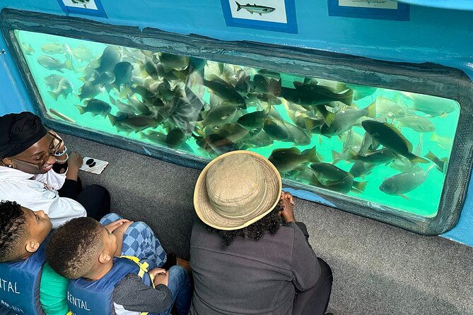 glass-bottom-boat-ride-in-redondo-beach
