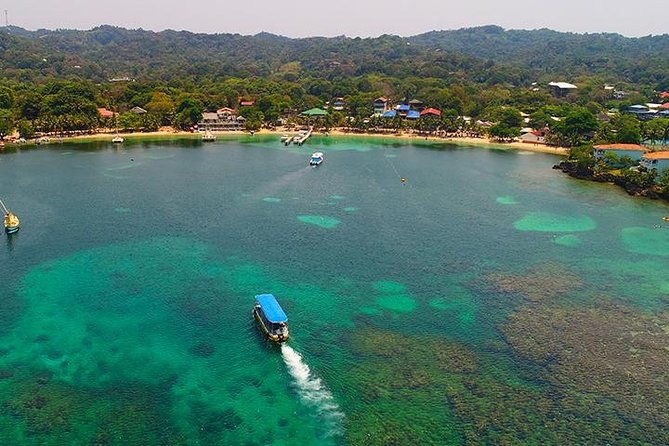 glass-bottom-boat-sloth-monkey-park-chocolate-factory-west-bay-beach