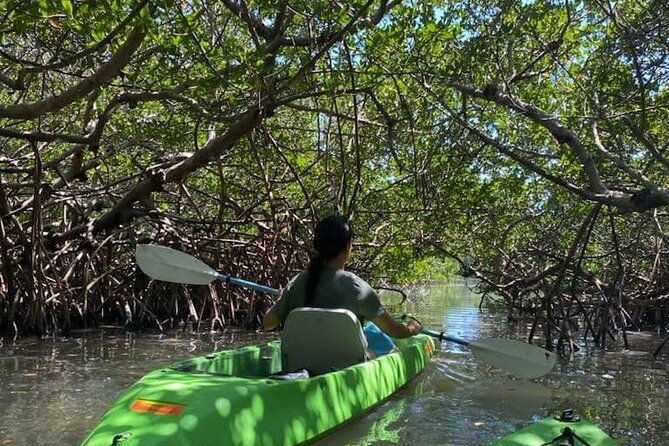 glass-bottom-kayak-mangrove-sandbar-adventure-in-st-pete-beach-2