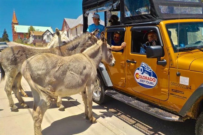 gold-belt-scenic-byway-jeep-tour-from-canon-city
