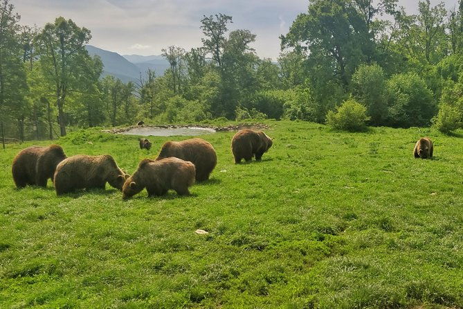 golden-circle-of-transylvania