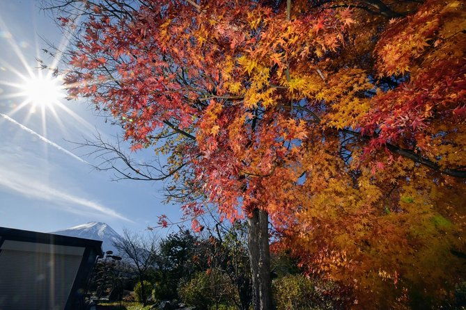 gotemba-outlet-mall-plus-lake-kawaguchi-or-hakone-tour-by-chartered-van