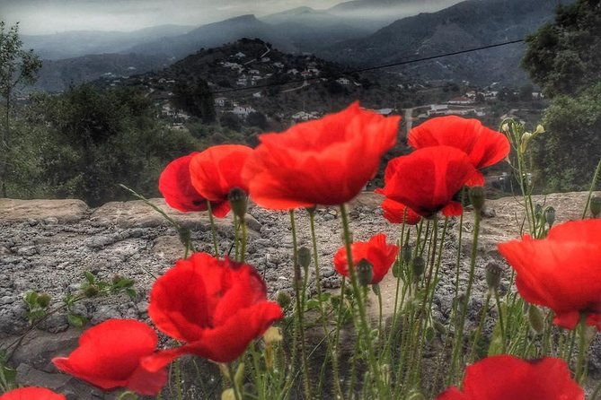 gourmet-cooking-class-culture-in-the-rural-montes-de-malaga
