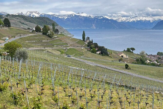 gourmet-food-and-wine-tasting-walk-in-lavaux