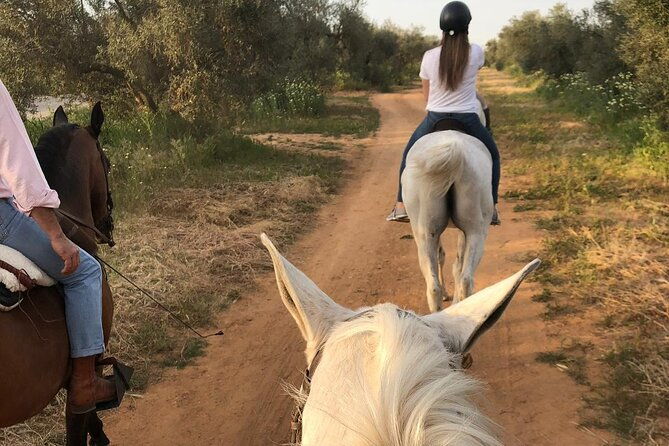 granada-sierra-nevada-horse-riding-tour
