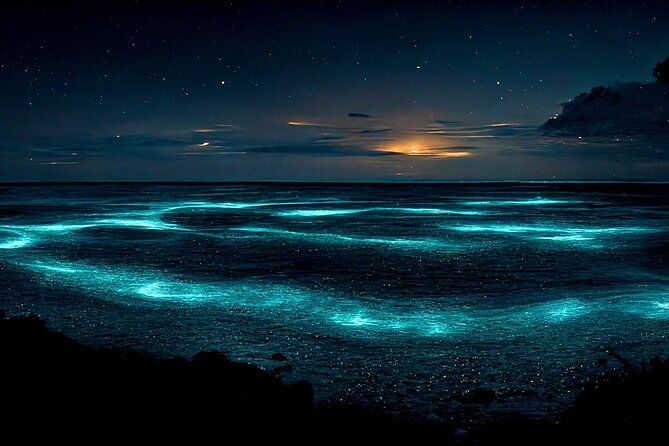 grand-cayman-bioluminescent-bay-adventure