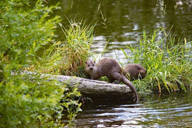 grand-teton-and-its-wildlife-private-guided-tour-2