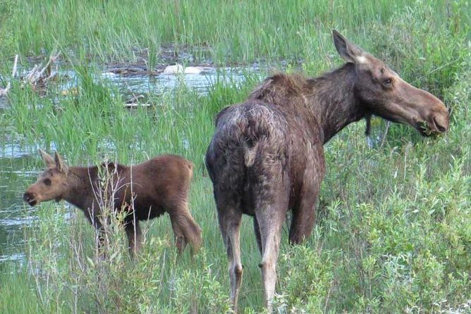 grand-teton-national-park-private-full-day-tour-from-jackson-hole