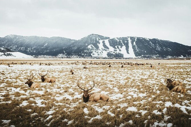 grand-teton-private-winter-tour