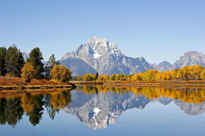 grand-teton-wildlife-safari-tour