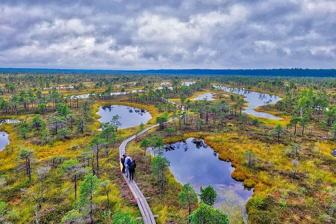 great-kemeri-bog-and-swamp-forest-hiking-adventure