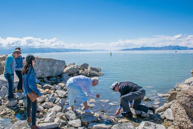 great-salt-lake-guided-bus-tour-from-salt-lake-city