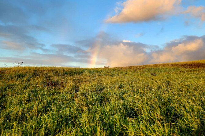 green-sands-adventure-atv-ride-2