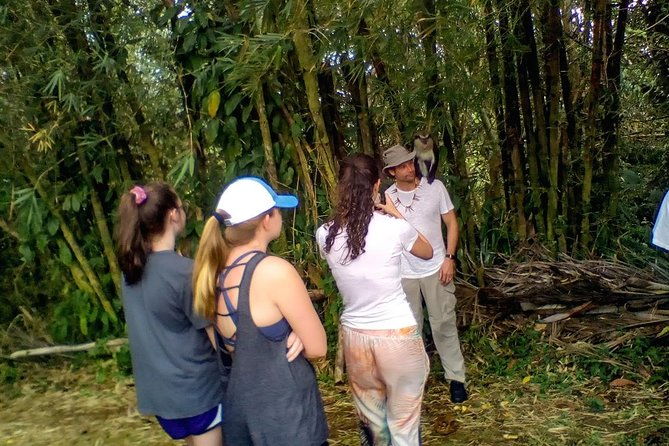 grenada-spice-gardens-rum-chocolate-tour-full-half-day