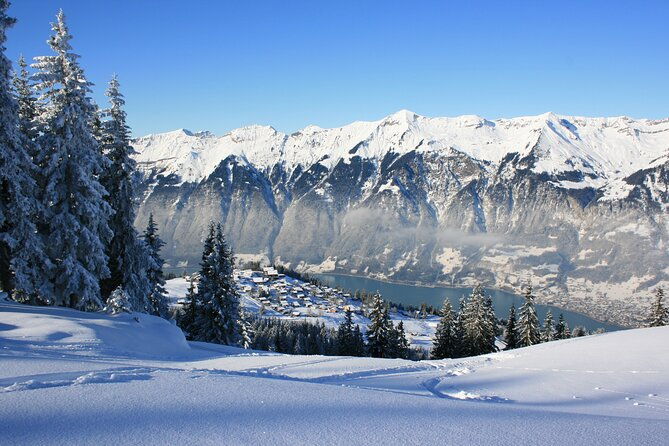 grindelwald-and-interlaken-independent-day-trip-from-lucerne-2