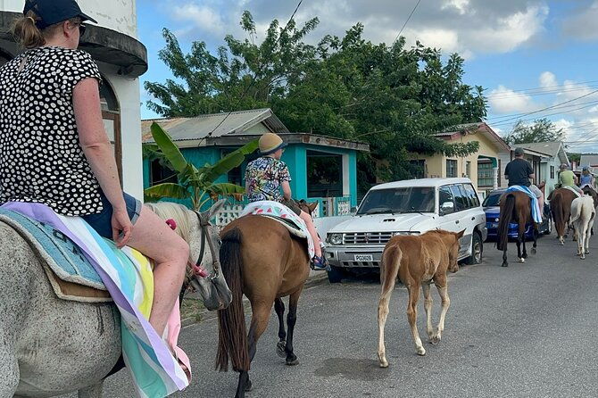 gros-islet-village-horseback-riding-run-with-dores-riding-stable
