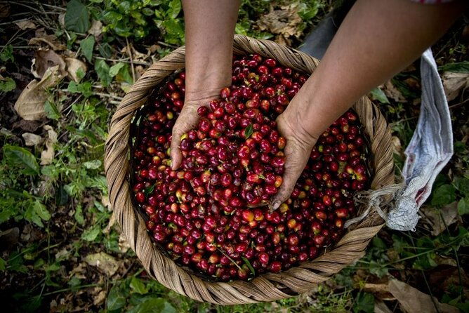 guatape-tour-boat-ride-coffee-tour-best-experience