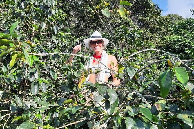 guatape-with-coffe-tours