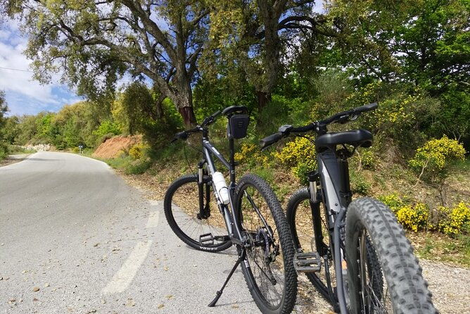 guided-cycling-blue-village-ronda-moderate-level-difficulty