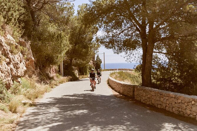 guided-ebike-tour-in-ibiza