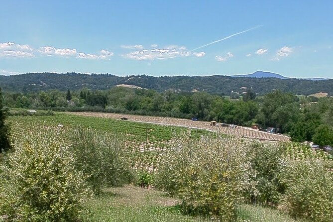 guided-electric-bike-wine-tour-through-sonoma-county