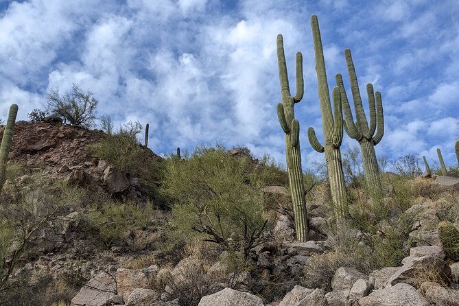 guided-hike-lime-kiln-desert-hike-on-the-lower-salt-river