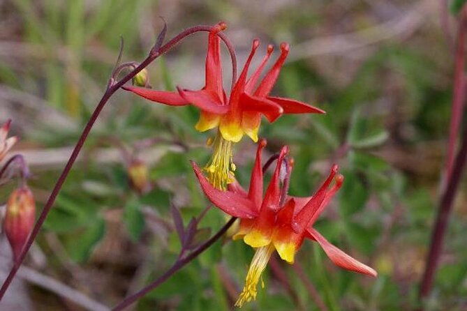 guided-hike-tongass-national-forest
