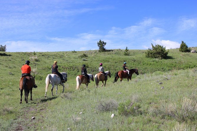 guided-horseback-trek-through-blue-flower-trail-2