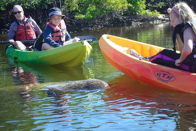 guided-kayak-dolphin-eco-tour-in-pelican-bay-2