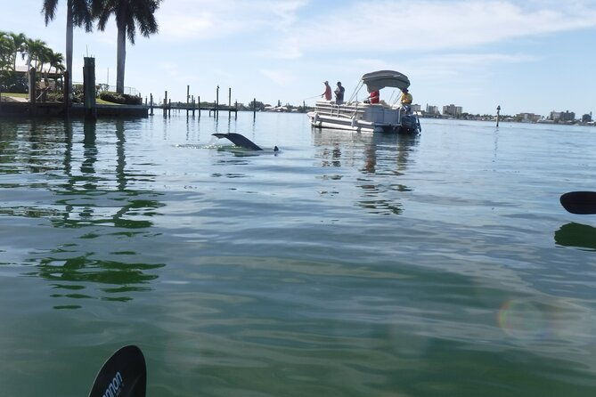 guided-kayak-sunset-tour-in-pelican-bay-at-fort-myers-beach