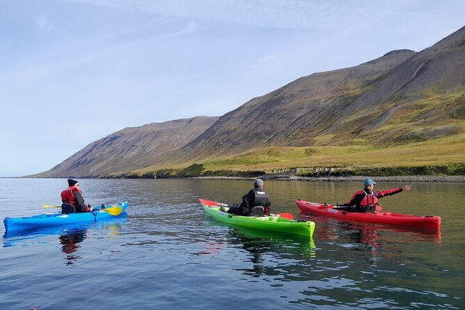 guided-kayak-tour-in-siglufjordur-siglufjordur