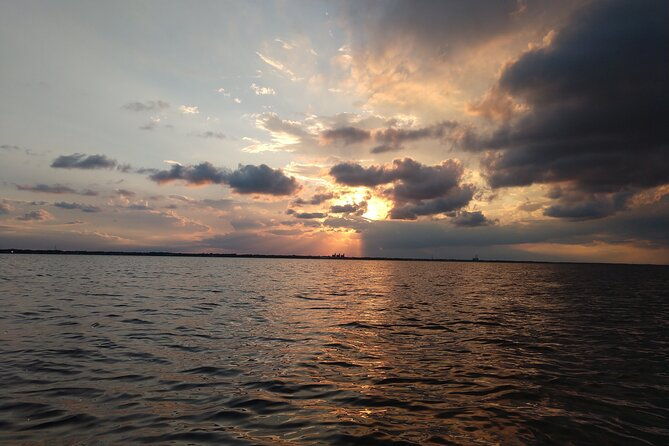 guided-kayak-tour-with-manatee-dolphin-sightings-2