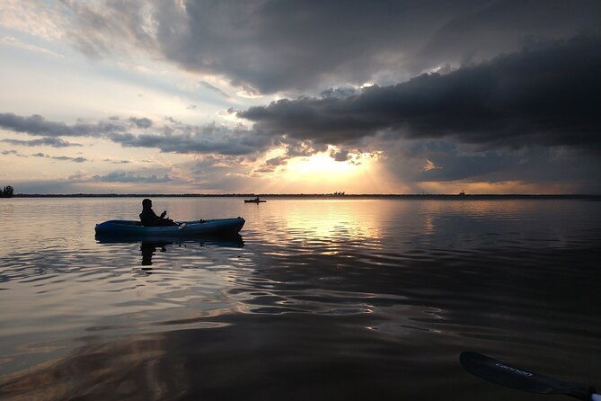 guided-kayak-tour-with-manatee-dolphin-sightings