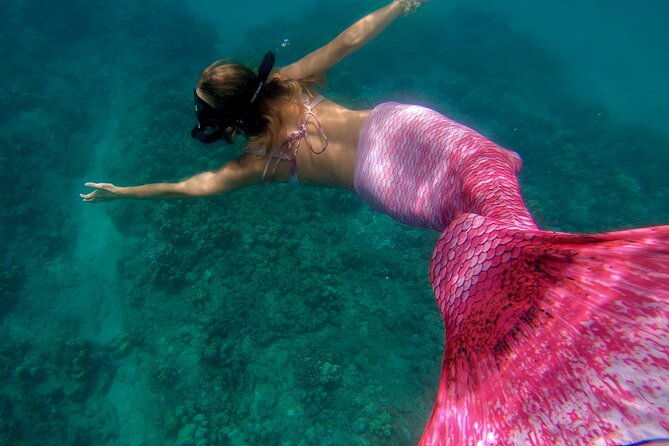 guided-mermaid-snorkel-experience-free-videos-in-west-palm-beach