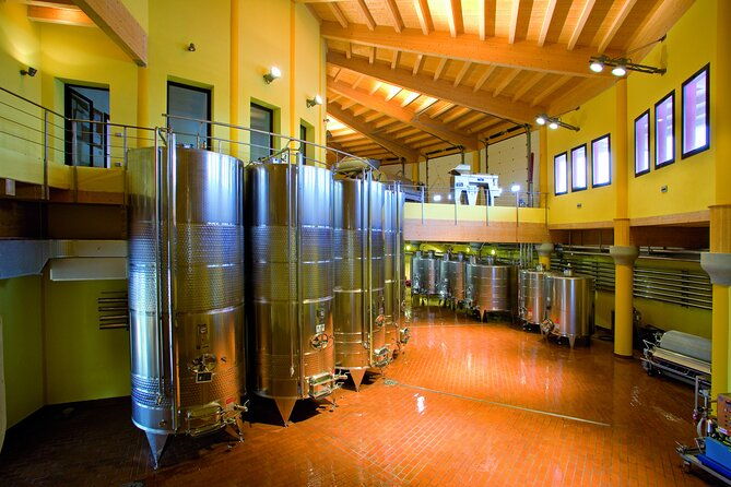 guided-premium-tour-in-lugana-doc-5-wines-from-perla-del-garda