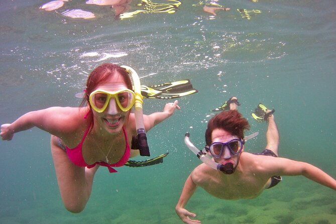 guided-snorkel-experience-in-fort-lauderdale